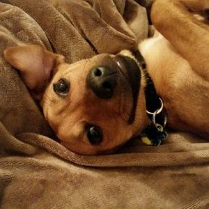 Meet your Posher, Glenn